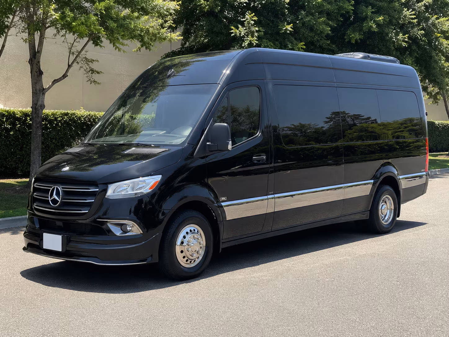 fresno 18 passenger sprinter van